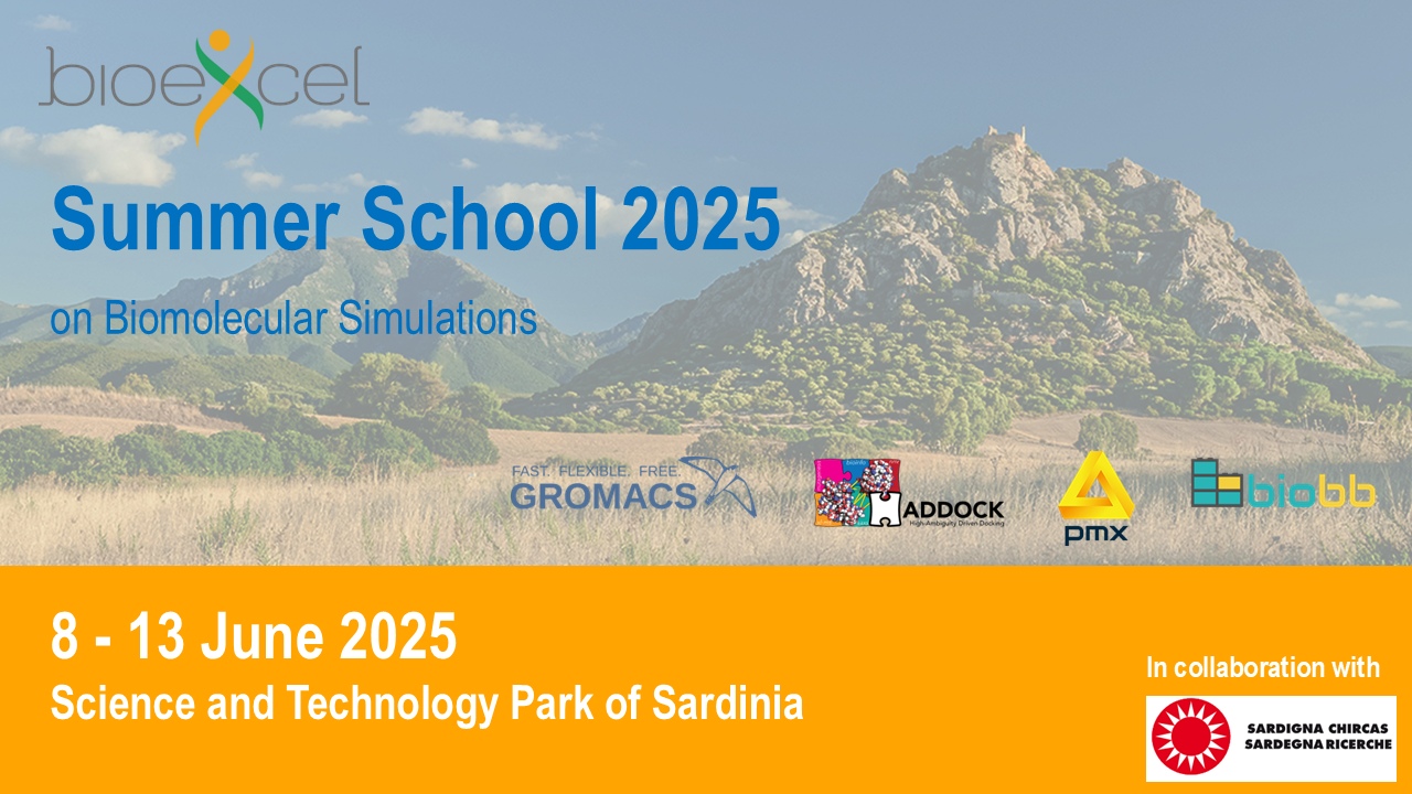 Summer School 2025.png