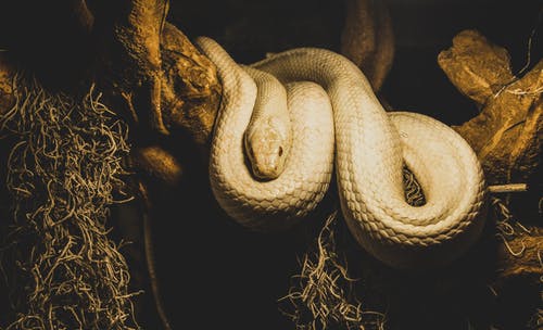 Training - Python for HPC_1.jpeg