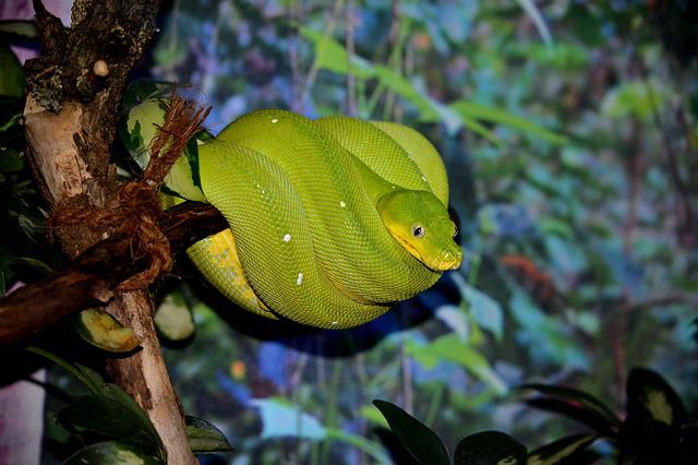 Training - Python for HPC_3.jpg