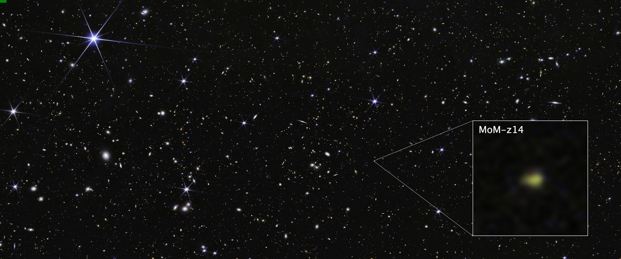 This image shows a wide field of view showing deep space, dotted with many small galaxies. One is highlighted with a magnified image in a graphic pull-out box in the lower right corner. The galaxy is labeled MoM-z14 and appears as a blurry yellow blob with a small red area at its top. © NASA, ESA, CSA, STScI, R. Naidu (MIT), Image Processing: J. DePasquale (STScI)