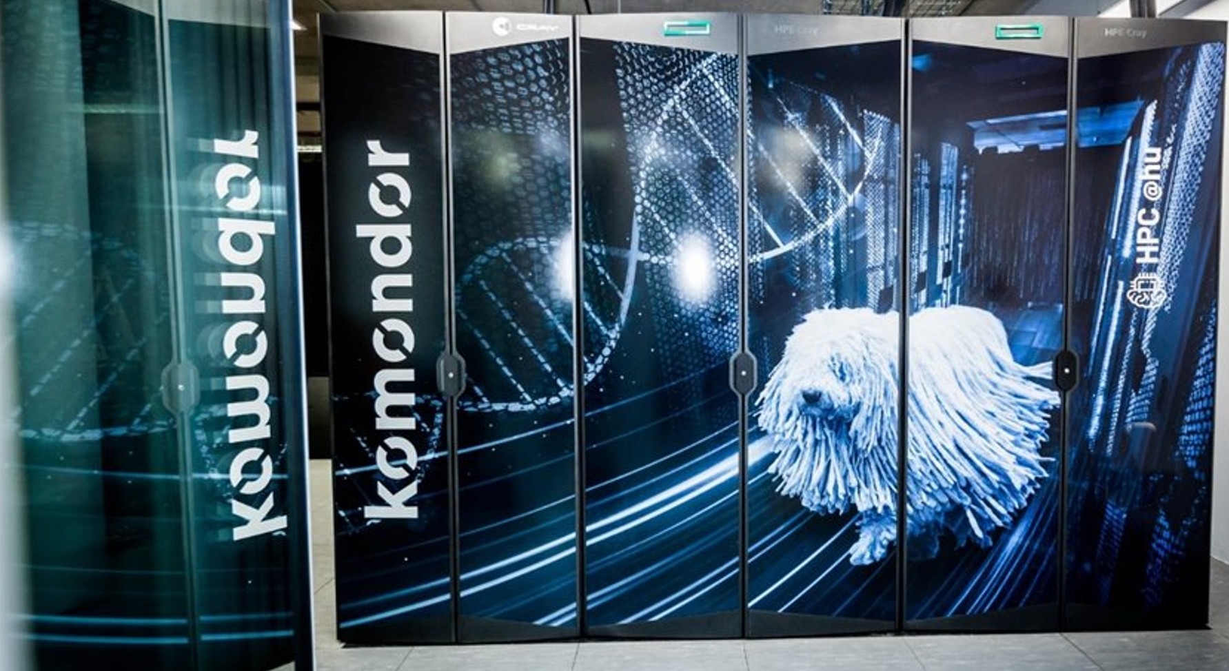 Komondor