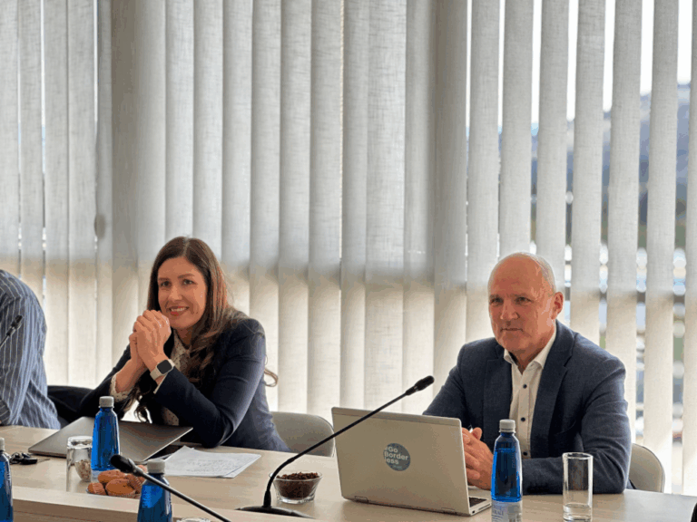 We had a good presence of SMEs interested in new EuroHPC and FFPlus calls