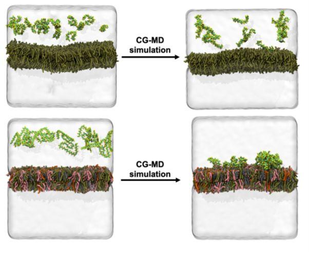 Imagen que contiene alimentos

El contenido generado por IA puede ser incorrecto.
