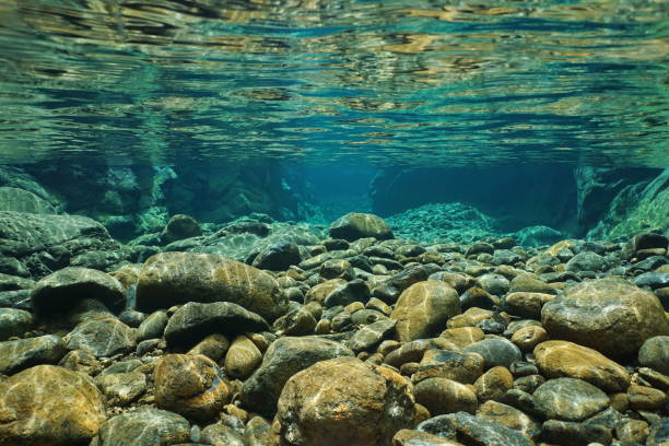 An underwater photograph of a crystal-clear riverbed filled with smooth, sunlit stones and rocks leading toward deeper blue water in the background.