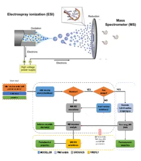 bioexcel-use-case-main-image