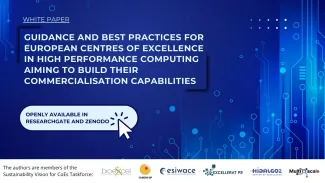 White paper - Guidance and Best Practices for European Centres of Excellence in High Performance Computing Aiming to Build Their Commercialisation Capabilities