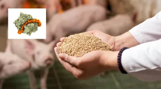 Image: AB Enzymes and Adobe Stock