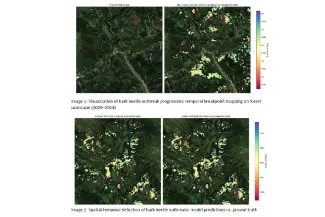 Early bark beetle detection
