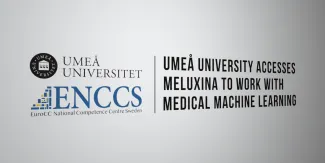 Cover image Umeå University Accesses MeluXina to Work with Medical Machine Learning