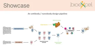 Antibody antigen pipeline