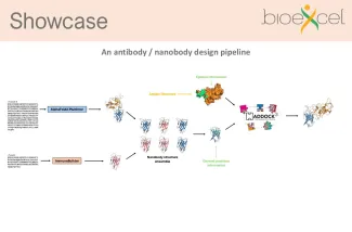 Antibody antigen pipeline