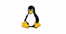 Linux pinguin 