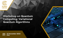 Workshop on Quantum Computing: Variational Quantum Algorithms