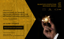 Quantum Computing Seminar: Limitations of Tensor Network Approaches for Optimisation and Sampling