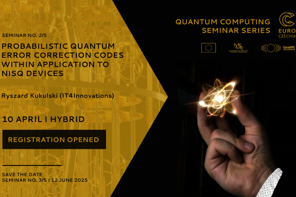 Quantum Computing Seminar: Probabilistic Quantum Error Correction Codes Within Application to NISQ Devices