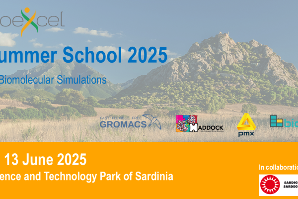 BioExcel Summer School 2025