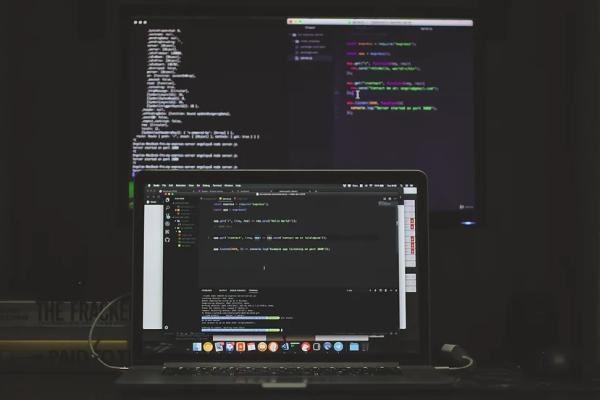 Laptop screen displaying programming language