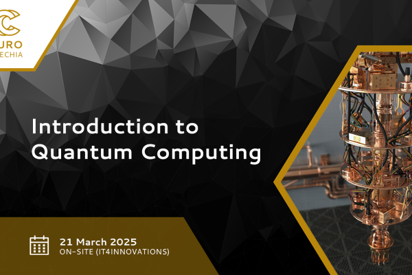 Introduction to Quantum Computing