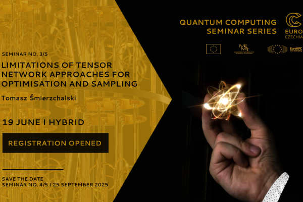 Quantum Computing Seminar: Limitations of Tensor Network Approaches for Optimisation and Sampling