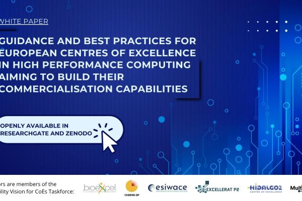 White paper - Guidance and Best Practices for European Centres of Excellence in High Performance Computing Aiming to Build Their Commercialisation Capabilities