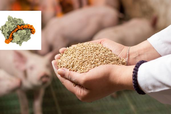 Image: AB Enzymes and Adobe Stock