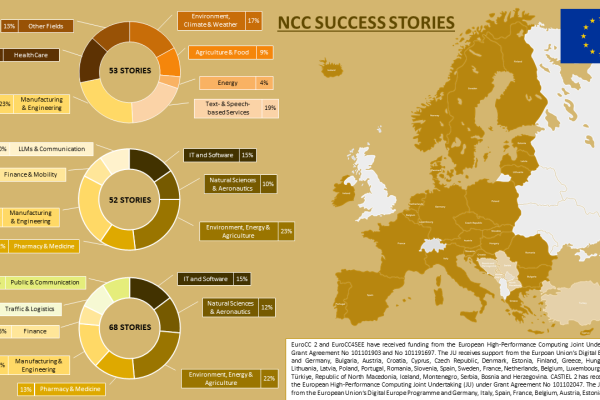 This infographic visually illustrates the range of topics covered by the NCCs in their success stories.