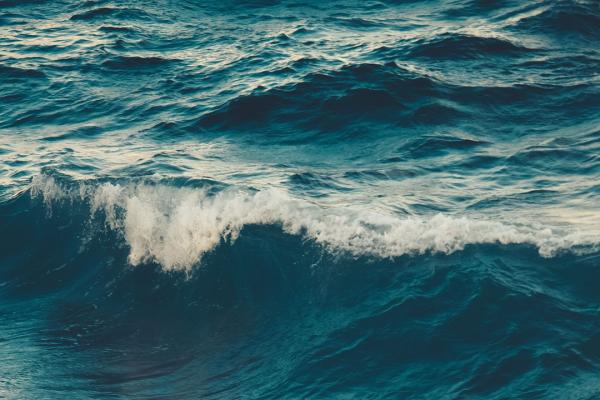 Waves